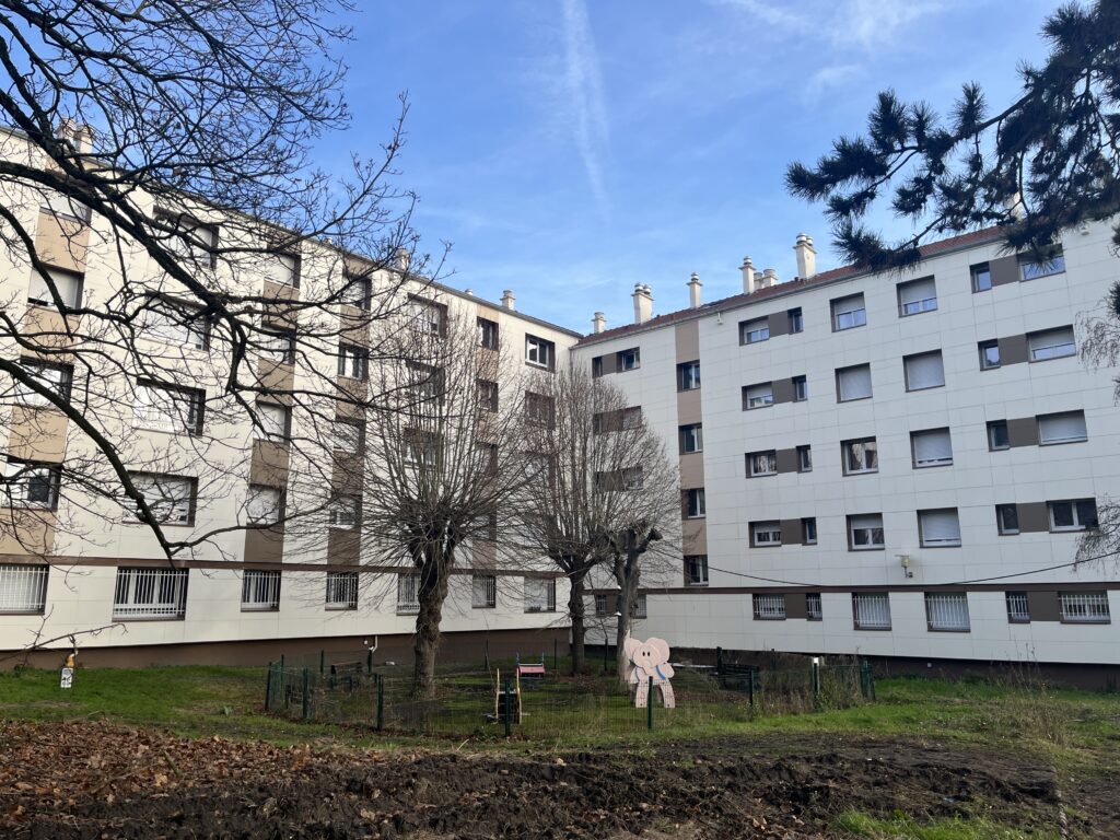 20241220_115001059_iOS